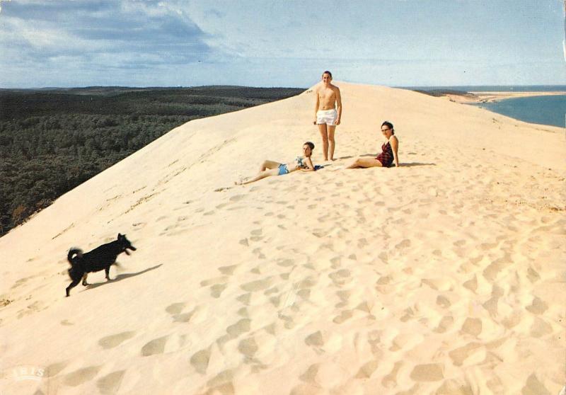 BT5028 bassin d arcachon la dune du pilat        France