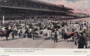 TORONTO , Ontario , Canada , 1900-10s ; C.N.E. Parade of Prize Winners