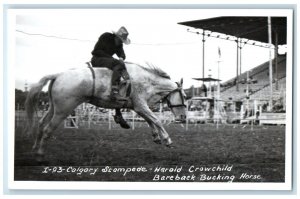 Harold Crowchild Barebuck Bucking Horse Alberta Canada RPPC Photo Postcard