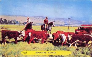 Goodland Kansas~Cowboys Round Up Cows~1950s Rembrant Postcard