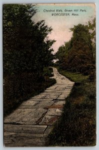 Worcester  Massachusetts  Chestnut Walk  Green Hill Park  Postcard