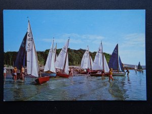 Wales Cymru Pembrokeshire SAUNDERSFOOT Yachts on the Beach c1970s Postcard