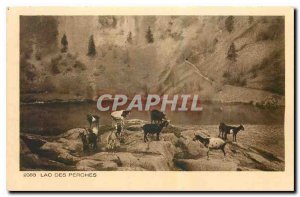 Old Postcard Les Beaux Sites Frances Lac des Perches Goats