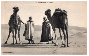 Camel Drivers in the Desert Egypt Postcard