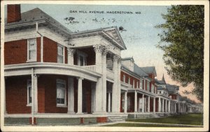 Hagerstown Maryland MD Oak Hill Ave Homes c1915 Postcard