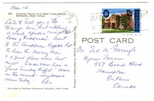 Coconut Palms, West Coast Beach, Barbados, Used