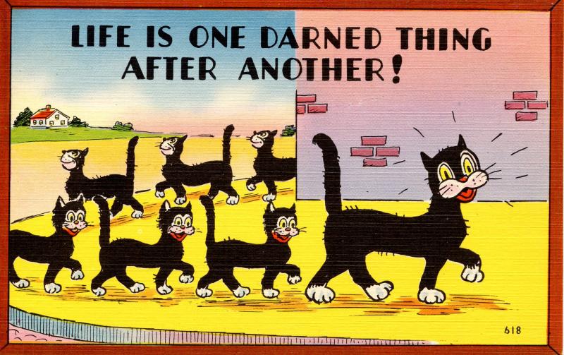 Humor - Life is one darned thing after another (Cats)
