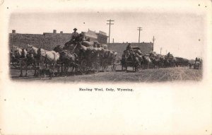 Cody Wyoming Hauling Wool Vintage Postcard AA41353