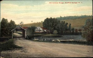 Richfield Springs New York NY Old Covered Bridge c1910 Vintage Postcard