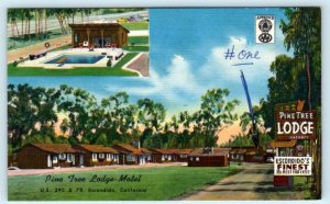 ESCONDIDO, California CA ~ Roadside PINE TREE LODGE MOTEL c1940s  Postcard