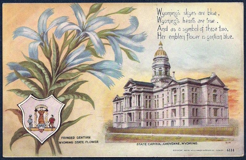 State Capitol & Flower Cheyenne Wyoming unused c1908