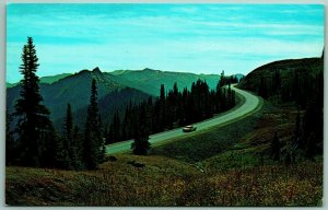 Hurricane Ridge Olympic National Forest WA UNP Unused Chrome Postcard G4