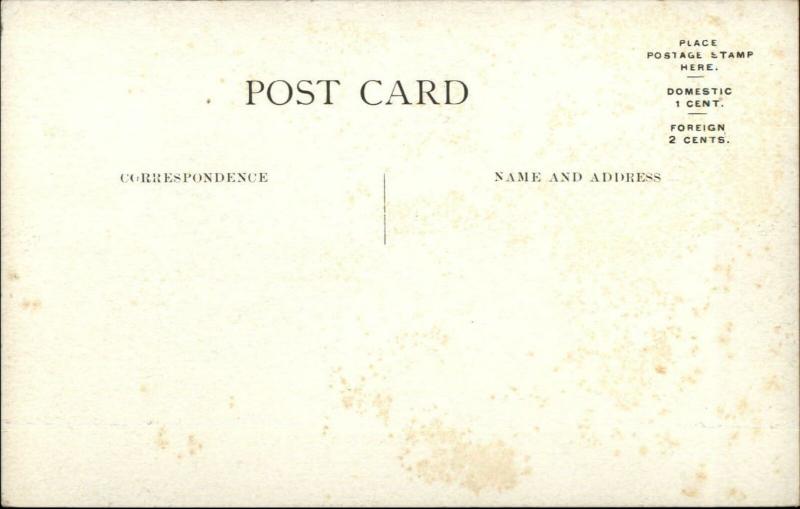 East Haddam CT Grange Fair Day Cattle Cows c1910 Postcard