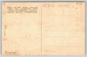 Sorrell Missouri~Wild Flowers on Wheat Grain Bougquet~PFB Postcard~c1910