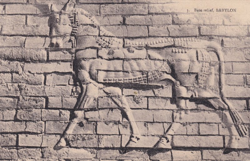 Babylon Bass Relief Iraq Horse Mural Antique Postcard