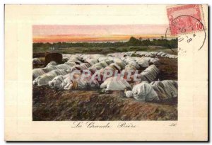 Old Postcard The Great Prayer Muslim Morocco