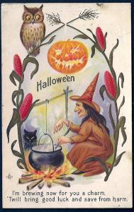 Witch Owl Black Cat & Cauldron used c1910's
