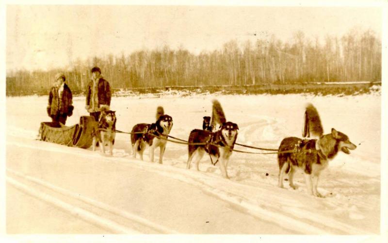 Canada - Alberta, McMurray. Sled Dog Team - RPPC