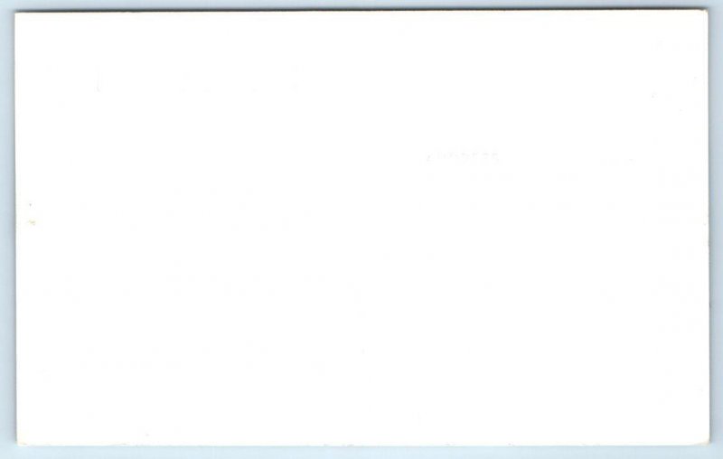 RPPC SEAL HARBOR, Maine ME ~ CHAMPLAIN MEMORIAL Monument c1950s Postcard