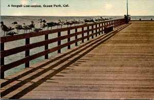 California Ocean Park Pier A Seagull Convention