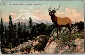 The Two Sentinels, Mt. Tacoma WA c1909 Vintage Postcard J26