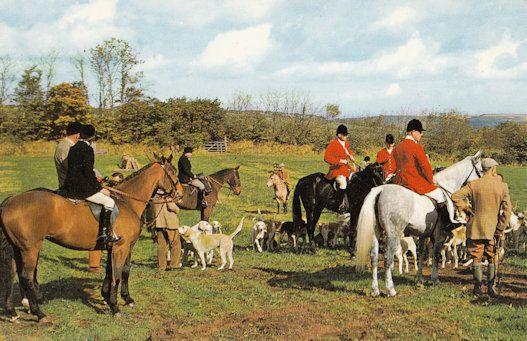 Land Owner Talking To Exmoor Hunt Fox Hunting 1970s Postcard