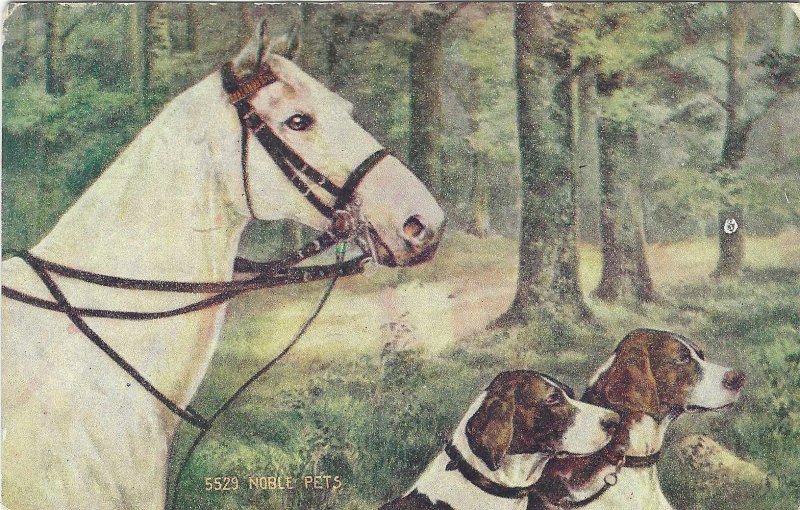 posted 1909, Noble Pets, Divided back