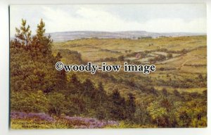 ar0423 - Across the Punchbowl, Hindhead - Artist - U/K -  Postcard - Salmon*3142