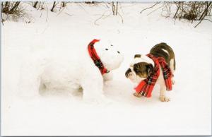 Bulldog in scarf with snoman bulldog - Northshore Animal League