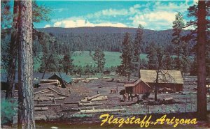 Postcard Arizona Flagstaff Lumber Mill Coconino Bradshaw occupation 23-8048