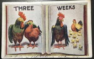Postcard Embossed Used “Three Weeks Rooster/Hen” WA LB