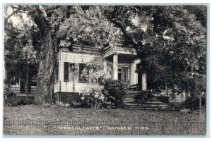 c1950's Greenleaves Mansion Natchez Mississippi MS Unposted Vintage Postcard