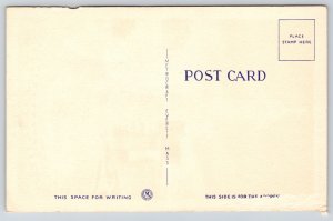 Baltimore Maryland~Washington Monument & Mt Vernon Place~Vintage Linen Postcard