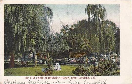 California Pasadena The Old Cabin At Baldwins Ranch 1905