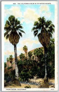 Palm Canyon California 1930s Postcard California Palm INn It Native Haunts