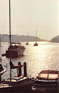 Charlevoix Michigan~Harbor View in Morning~Boats in Water~1950s Postcard