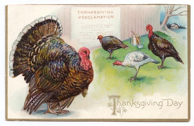 Turkeys Proclamation Embossed Vintage Tuck Series 123 Thanksgiving Postcard