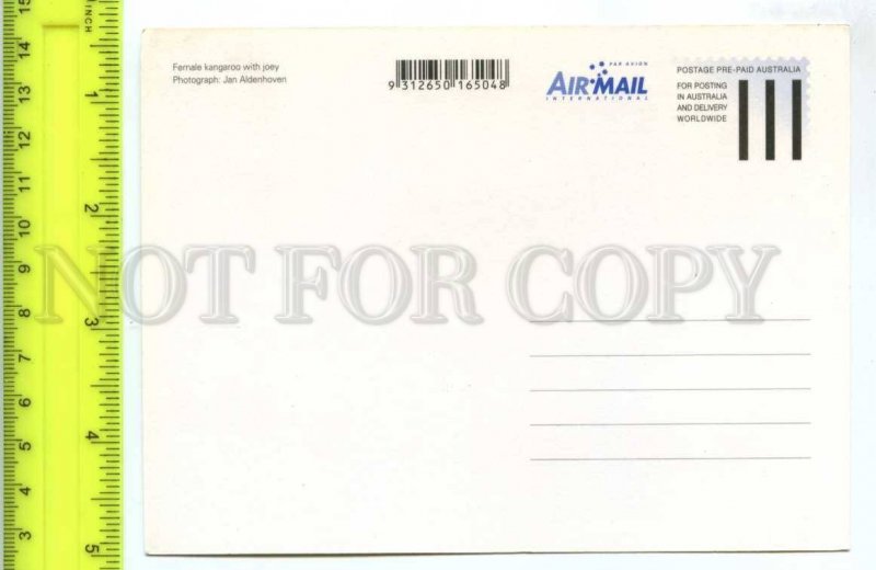 420875 AUSTRALIA kangaroo Pre-paid Postal Stationery postcard
