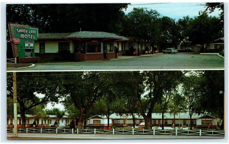 KEARNEY, NE ~ Roadside Lincoln Highway ~ SHADY LANE MOTEL  c1950s Cars  Postcard