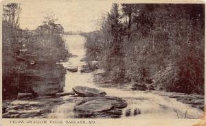 E31/ Oakland Maryland Md Postcard 1917 Below Swallow Falls