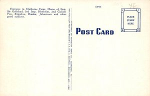 Claiborne Farm Lexington Kentucky Postcard