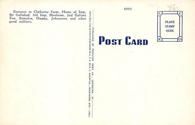 Claiborne Farm Lexington Kentucky Postcard