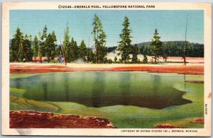Emerald Pool Yellowstone National Park Wyoming Steaming Pool Pines Postcard