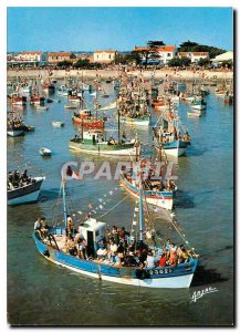 Modern Postcard On light Approval in Island Ola party Sea has Cotiniere Fishi...