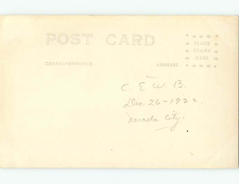 Pre-1930 rppc PINE TREES IN FOREST Camptonville California CA t2456