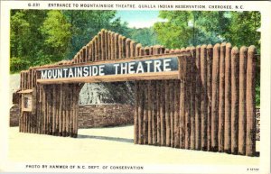 Postcard THEATER SCENE Cherokee North Carolina NC AK6163