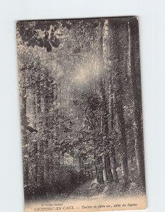 Postcard Théâtre en plein air, Allée des Sapins, Caudebec-en-Caux, France