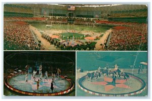 1970 Ringling Bros. Barnum & Bailey Greatest Show Astrodome Houston TX Postcard