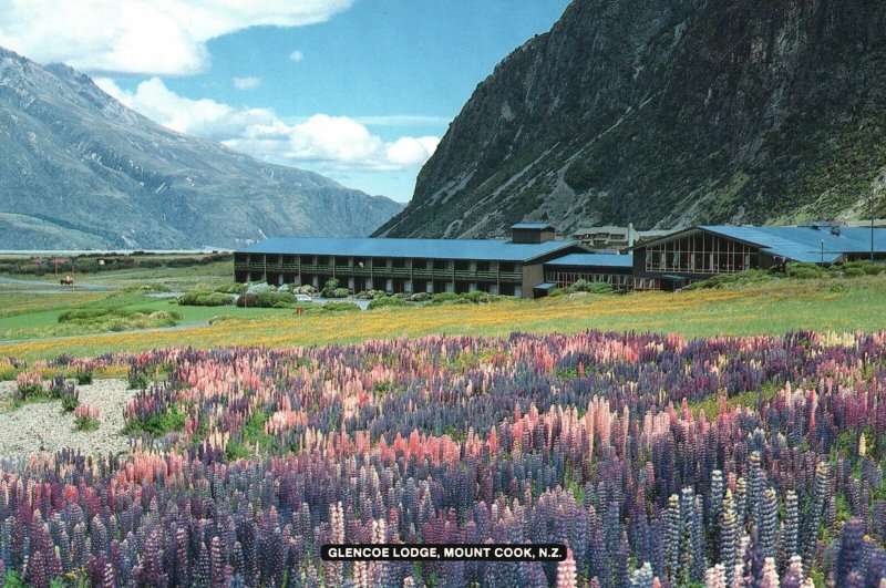 Vintage Postcard Summer Glencoe Lodge Mount Cook New Zealand 