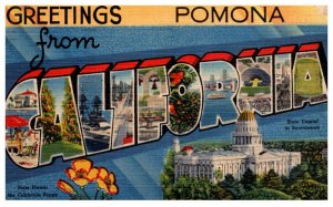 California Ponoma   LARGE LETTER